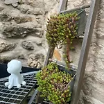 Le Refuge Des Vignes Апартаменты