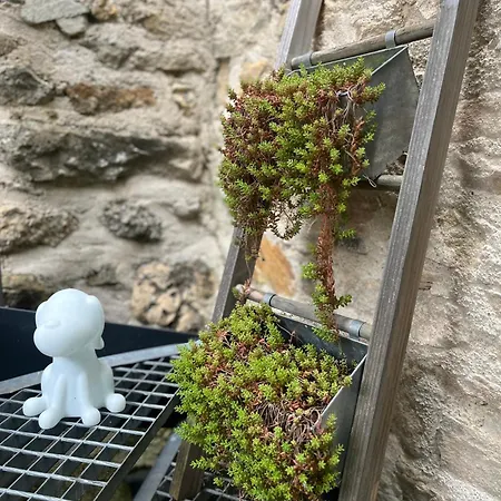Le Refuge Des Vignes דירה